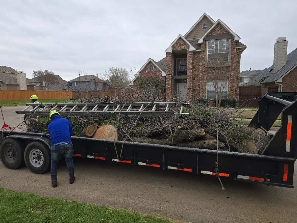 Expert Tree Fertilization with proper safety equipment in Afton
